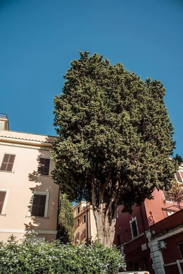 Apartman Vatican Suite Del Gallo Róma